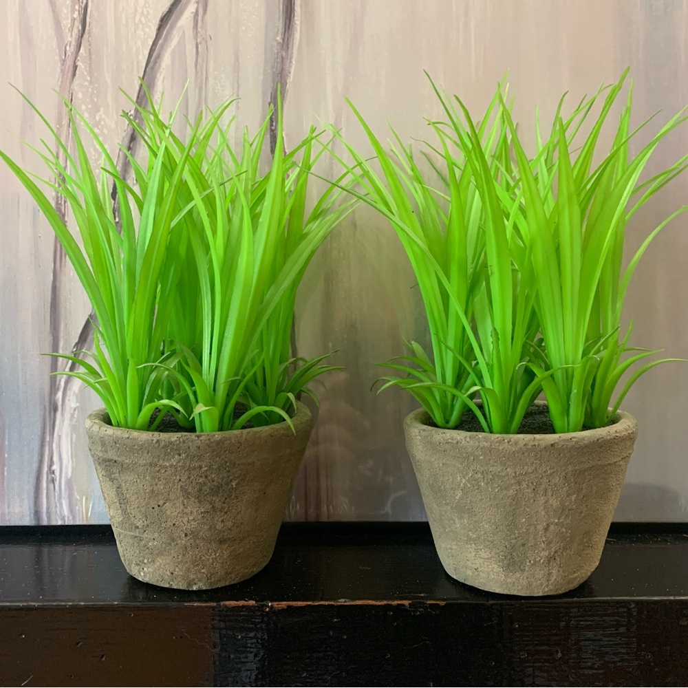 Set of Two Artificial Plants in Ceramic Pots. Grass or Lilly